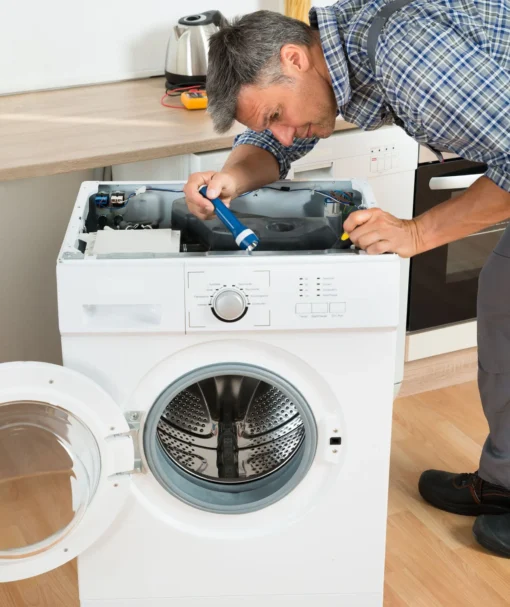 Inspectore repair dyer